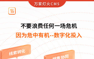 不要浪費任何一場危機，因為危中有機--數字化投入