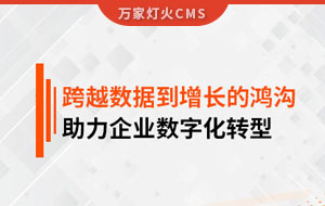 跨越數(shù)據(jù)到增長的鴻溝，助力企業(yè)數(shù)字化轉(zhuǎn)型